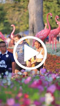 BIB:  <button type="button" onclick="openModal(27588732)" class="btn btn-primary btn-sm float-right" data-toggle="modal" data-target=".modal-high-quality">
                <i class="fa fa-download"></i> Download
                </button>